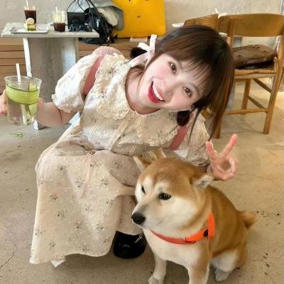 涨潮小屋