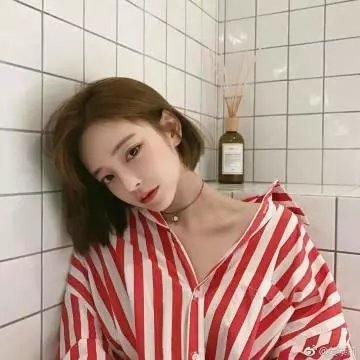 男孩和他的狗